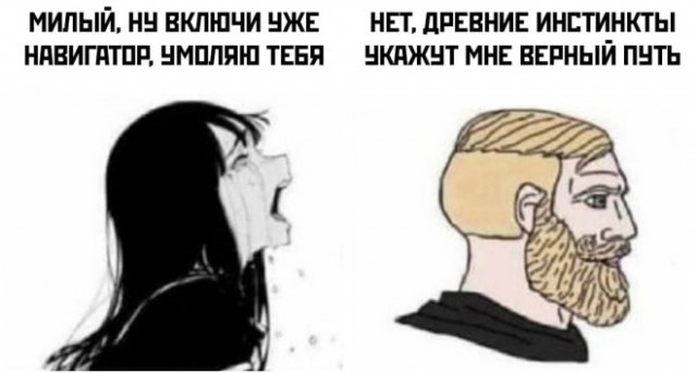 Веселые картинки в первый день зимы (01.12)