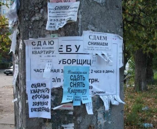 Появились подробности гибели девушки во время жесткого секса в Питере