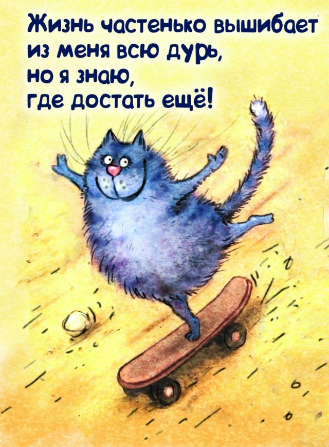 Коты минской художницы Рины Зенюк. 2025 год