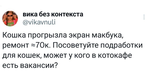 Картинки для деградации 147 (разной степени свежести)