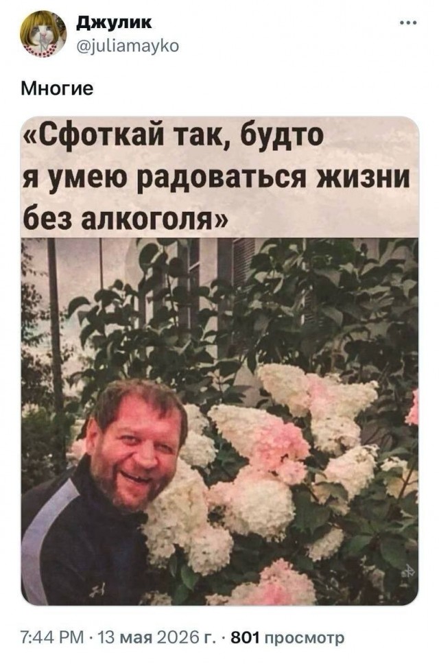 Картинки для деградации 202 (разной степени свежести)