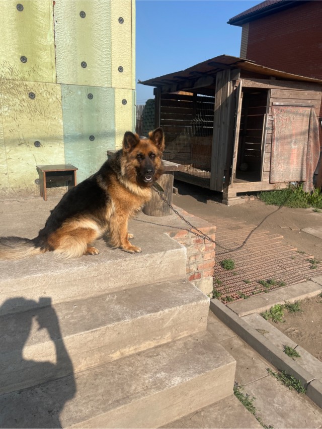 Никки