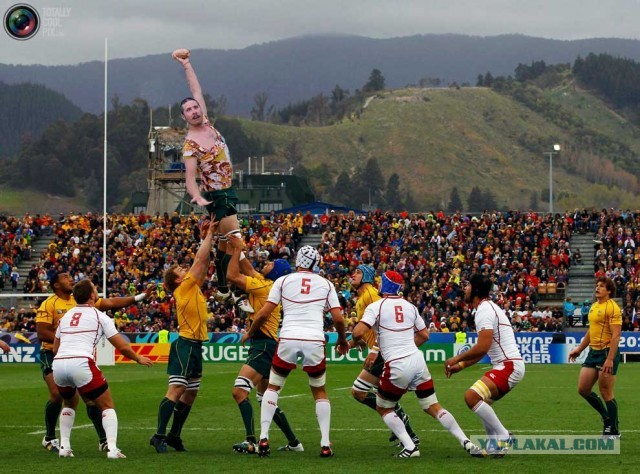 Мой друг нашел картошку!