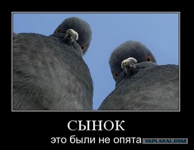 А что видите вы в облаках?