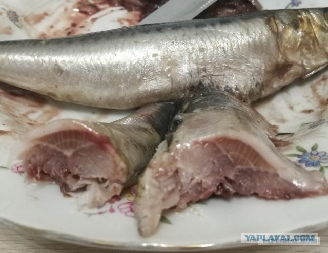 Приемлимо⁠⁠