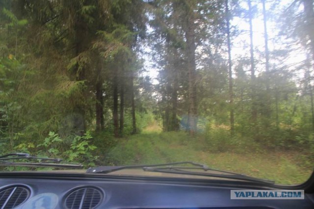 Фотоотчёт. Ивановская область.