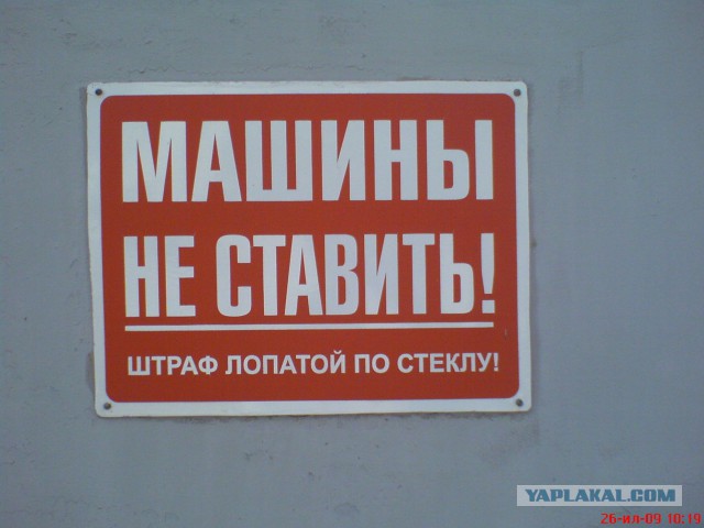 Не оскудеет земля идиотами