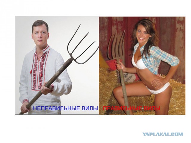 Соцсети - это настоящий филиал АДА на земле