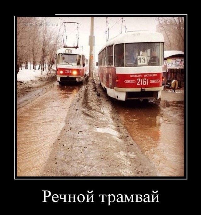 Забавные картинки из Сети