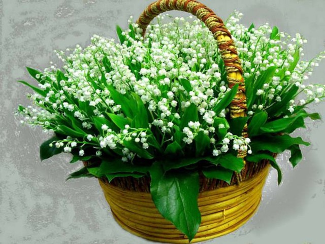 Валентинка 2