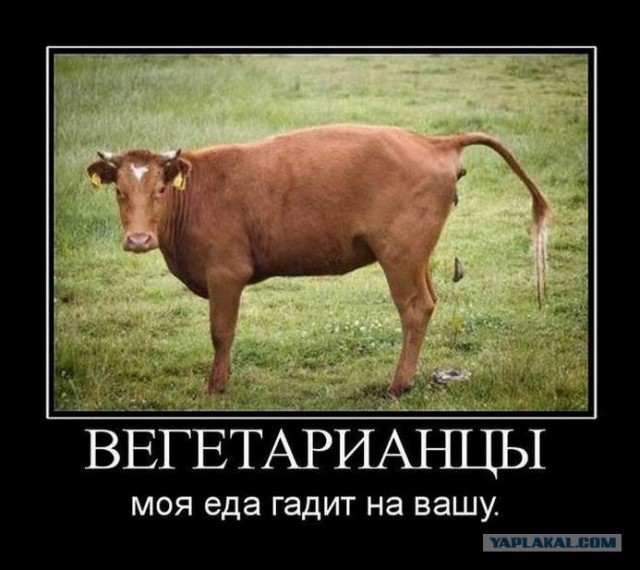 Совет вегетарианцам