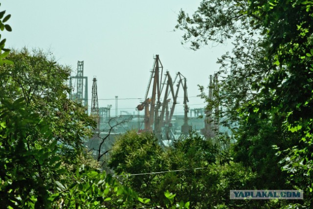 Мое приключение в городе-герое Одесса!