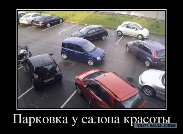 Две дамы не могут определить, кому уступать!