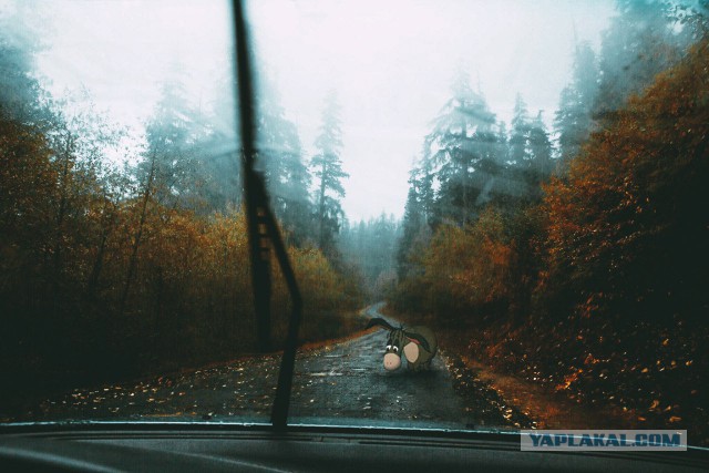 Весёлые картинки в чёрной рамке