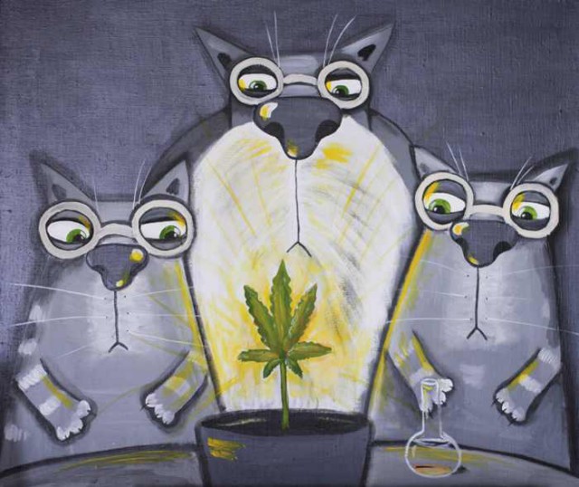 Что же такое спайсы?