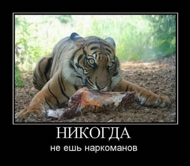 Зависимость от перца. Страшные кадры. 21+