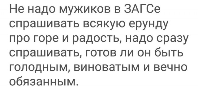 Перлы и высказывания