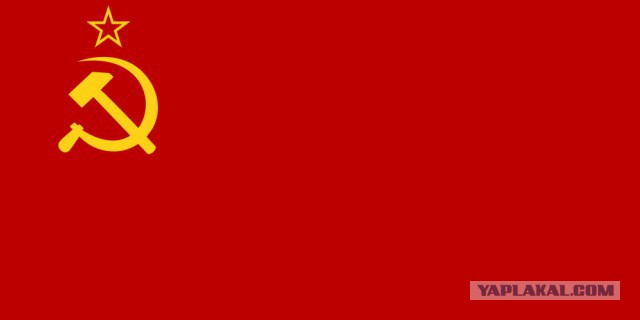 Полиция задержала школьников, организовавших сожжение флага РФ в Москве