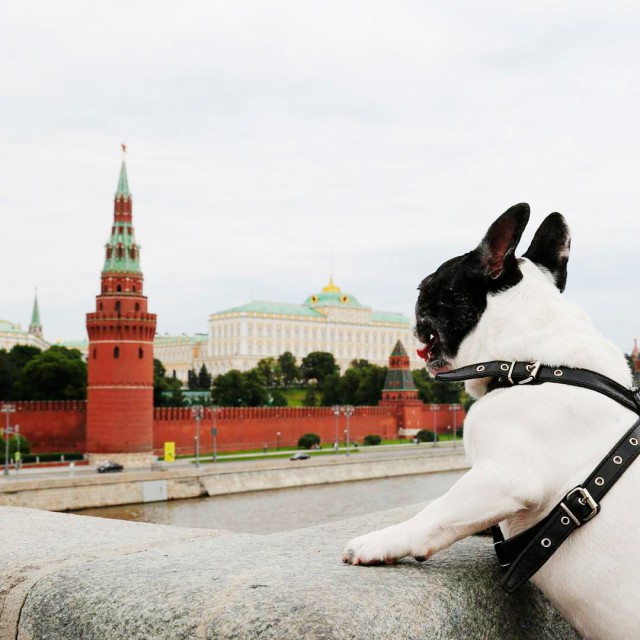 Всякие разные картинки