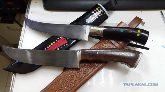 Продам Пчаки