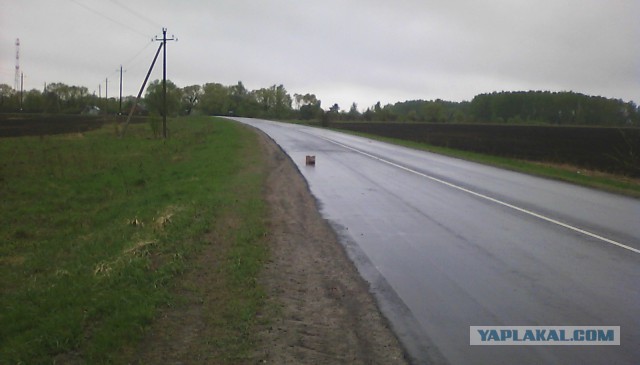 Кто вы, ублюдки?