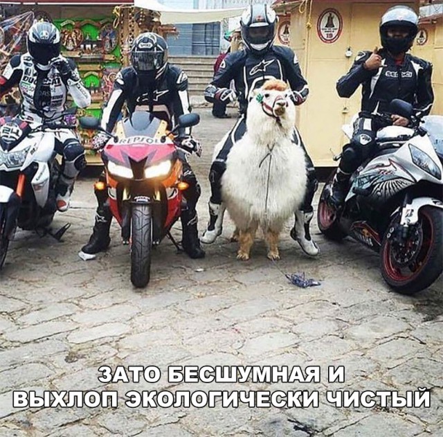 Нестандартный юмор