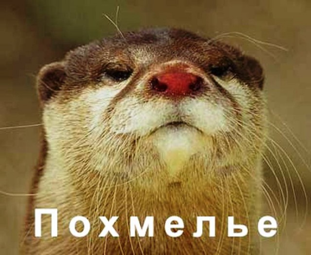 Такой воды я ещё не пробовал..