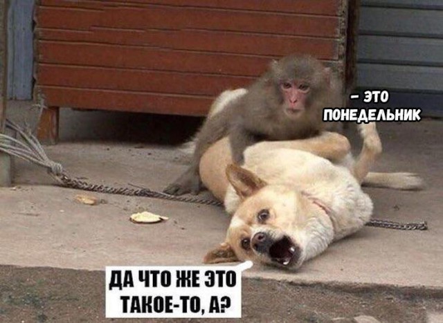 Немного картинок для настроения