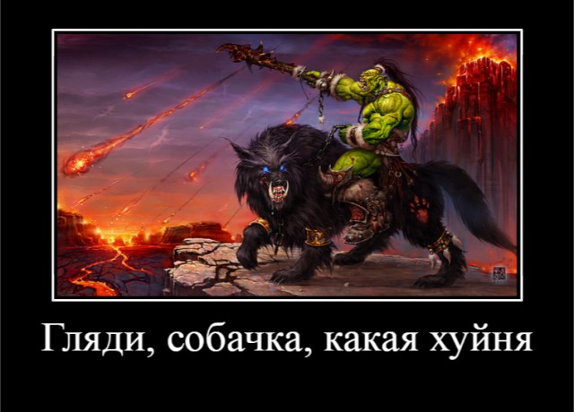 Нетолератные размышления американского профессора-еврея о чернокожих американцах