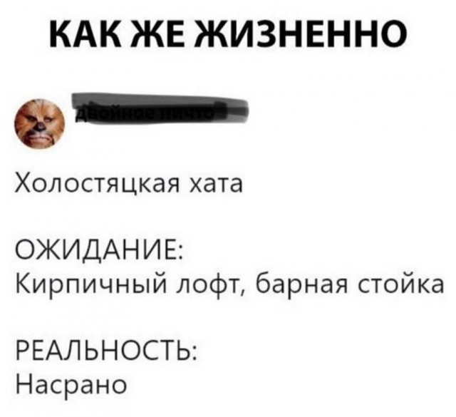 Бредзона из фотографий