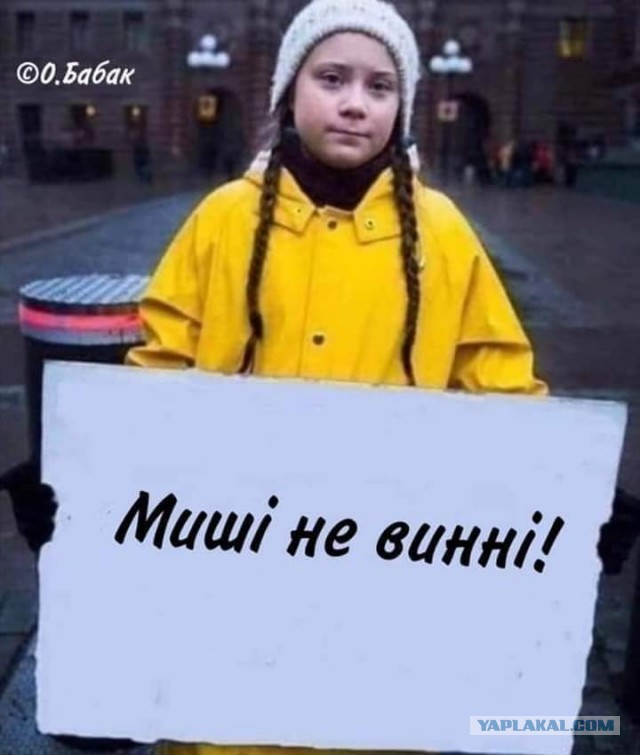 Мыши съели 2700 вагонов зерна из госрезерва Украины