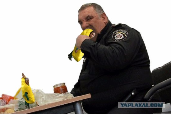 Друзья обезьян