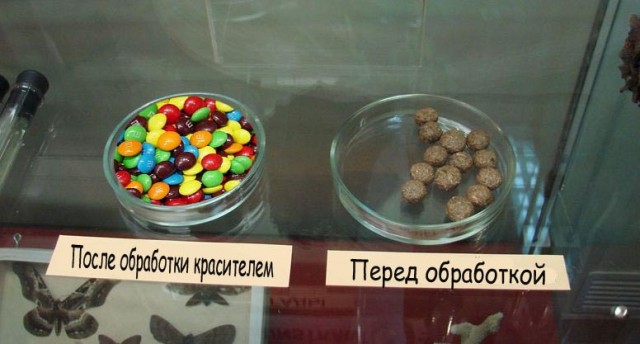Удивительное рядом
