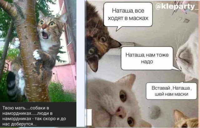 Наташа, вставай!