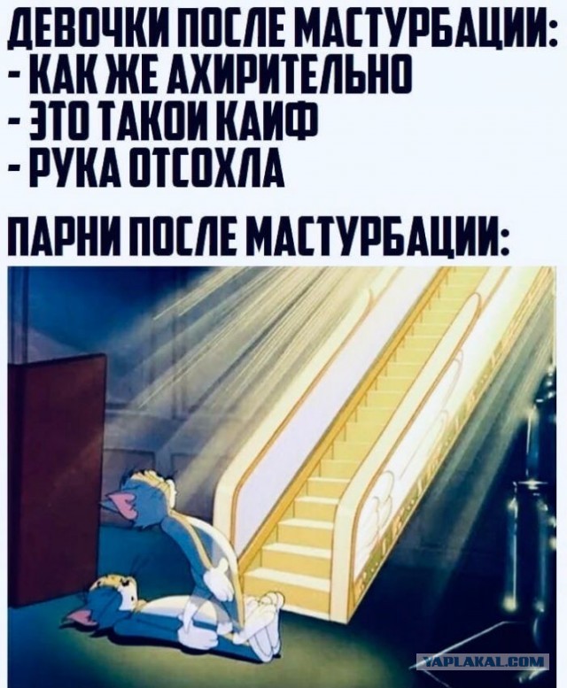 Пятница. И немного слегка пошлых картинок с надписями и без 16+ (18.12)
