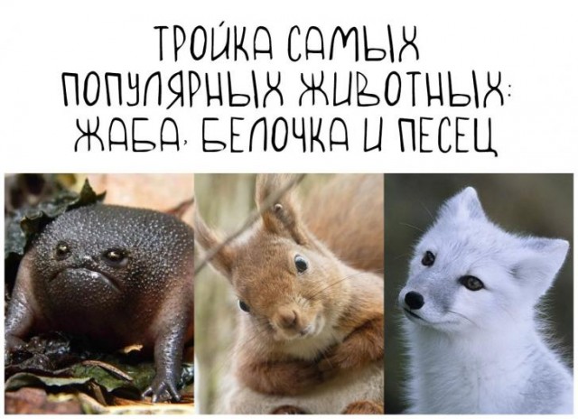 Бредзона 25.12.20