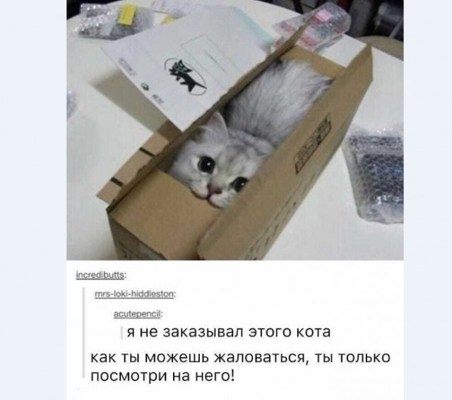 С наступающим! Картинки и мемы для настроения 031