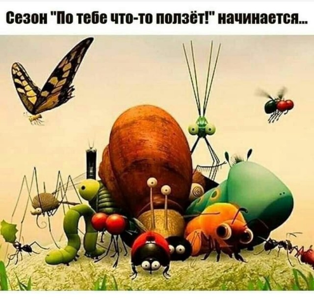 Картинки с надписями и всякие жизненные фразы 07.05.2021