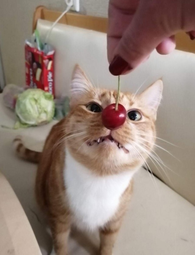 Картинки и мемы для настроения 28.07.2021