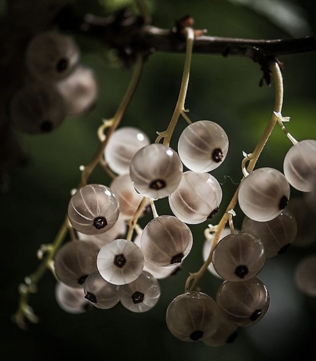 Картинки и мемы для настроения 04.08.2021