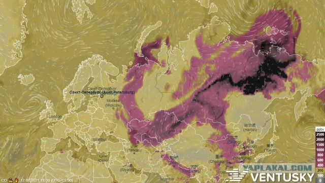 Территория Якутии, охваченная огнем, превысила площади лесных пожаров в Греции, Турции, Италии, Канаде и США вместе взятых