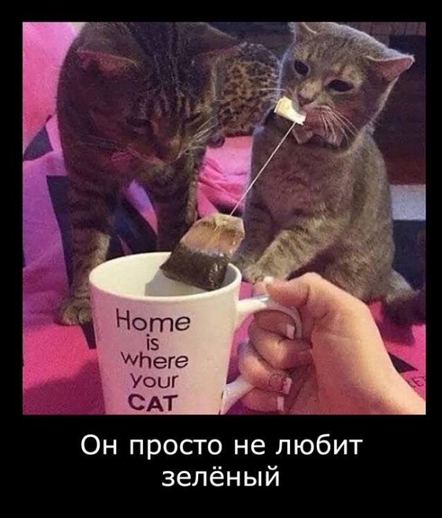 Картинки и мемы для настроения 18.08.2021