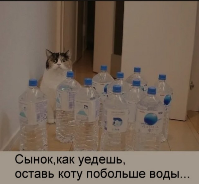 Когда просыпаешься ночью попить водички и застаешь девушку возле холодильника