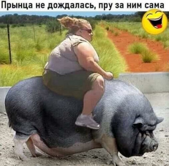 Картинки и мемы для настроения  - 31