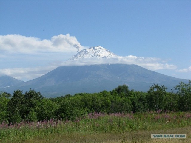 Камчатские красоты