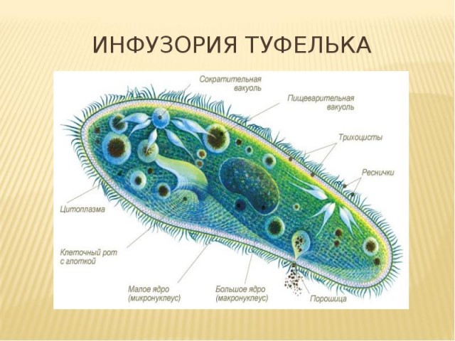 Юстировка Джеймса Уэбба завершена