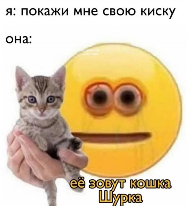 Хобби, которое порицается обществом