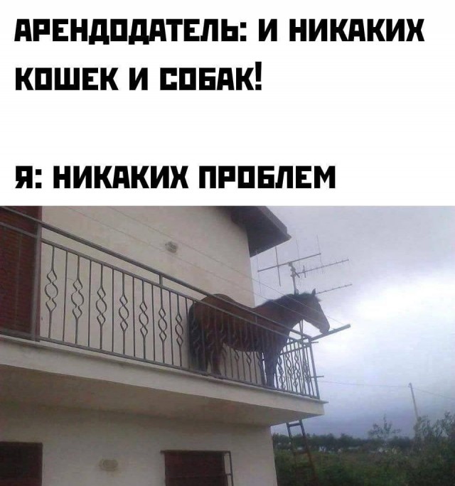 Картинки и мемы из Сети 24.07.22