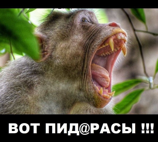 В июне производство машин в России упало практически в 10 раз,на всю страну - менее 14 тысяч.. Но...дилеры не понижают цены!