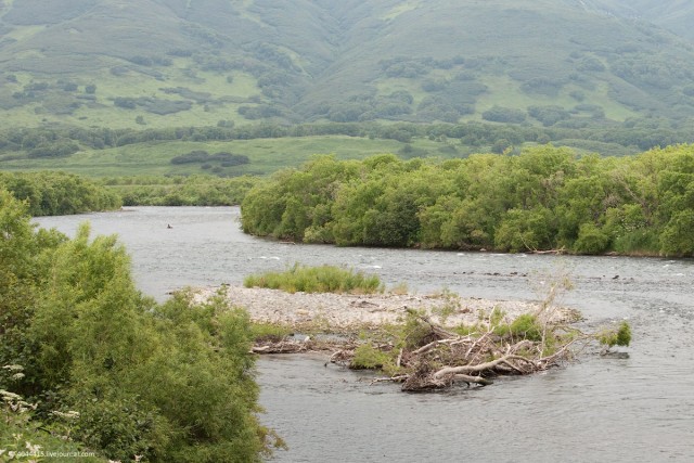 Городок N на Камчатке